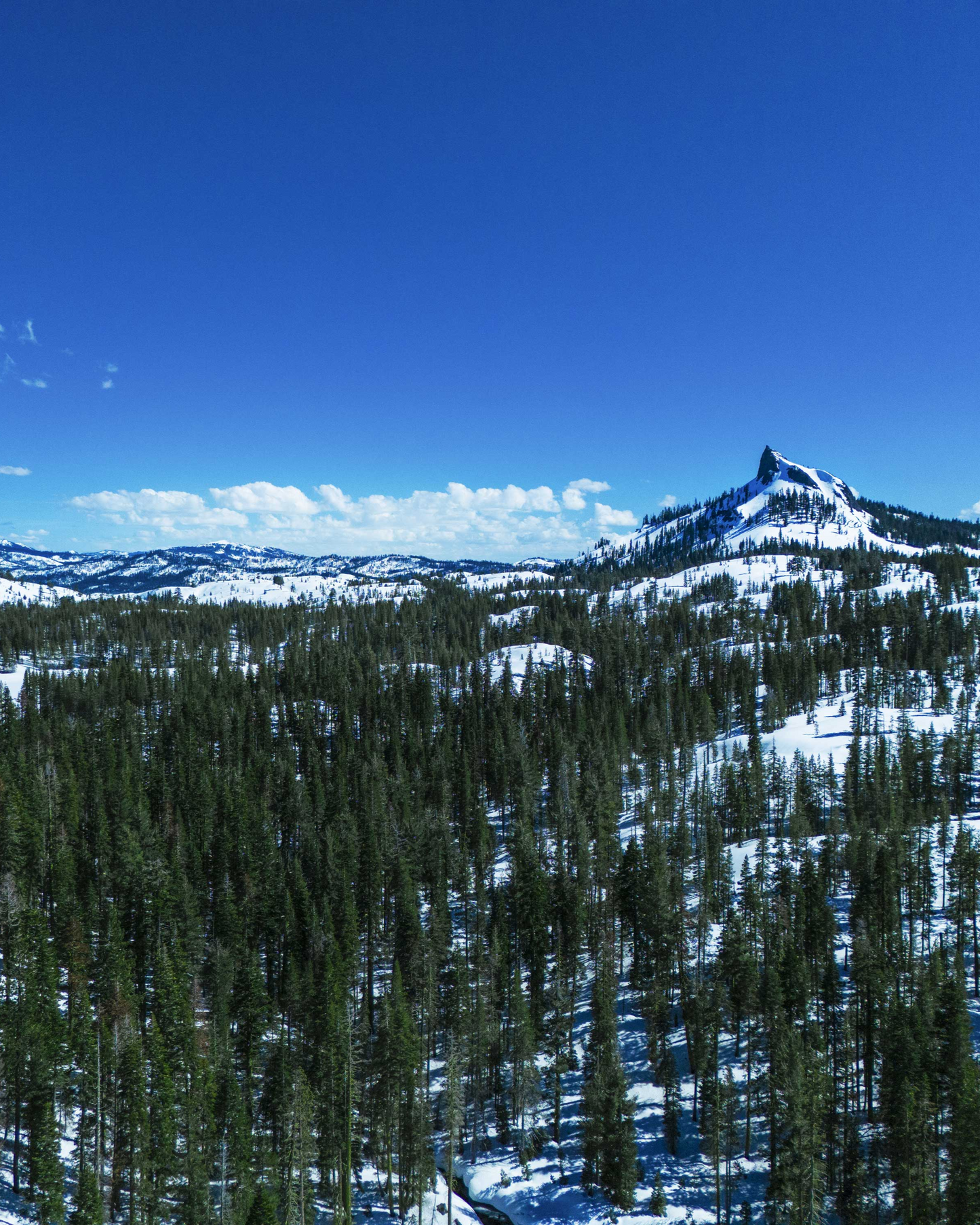 TahoeArtesianWater