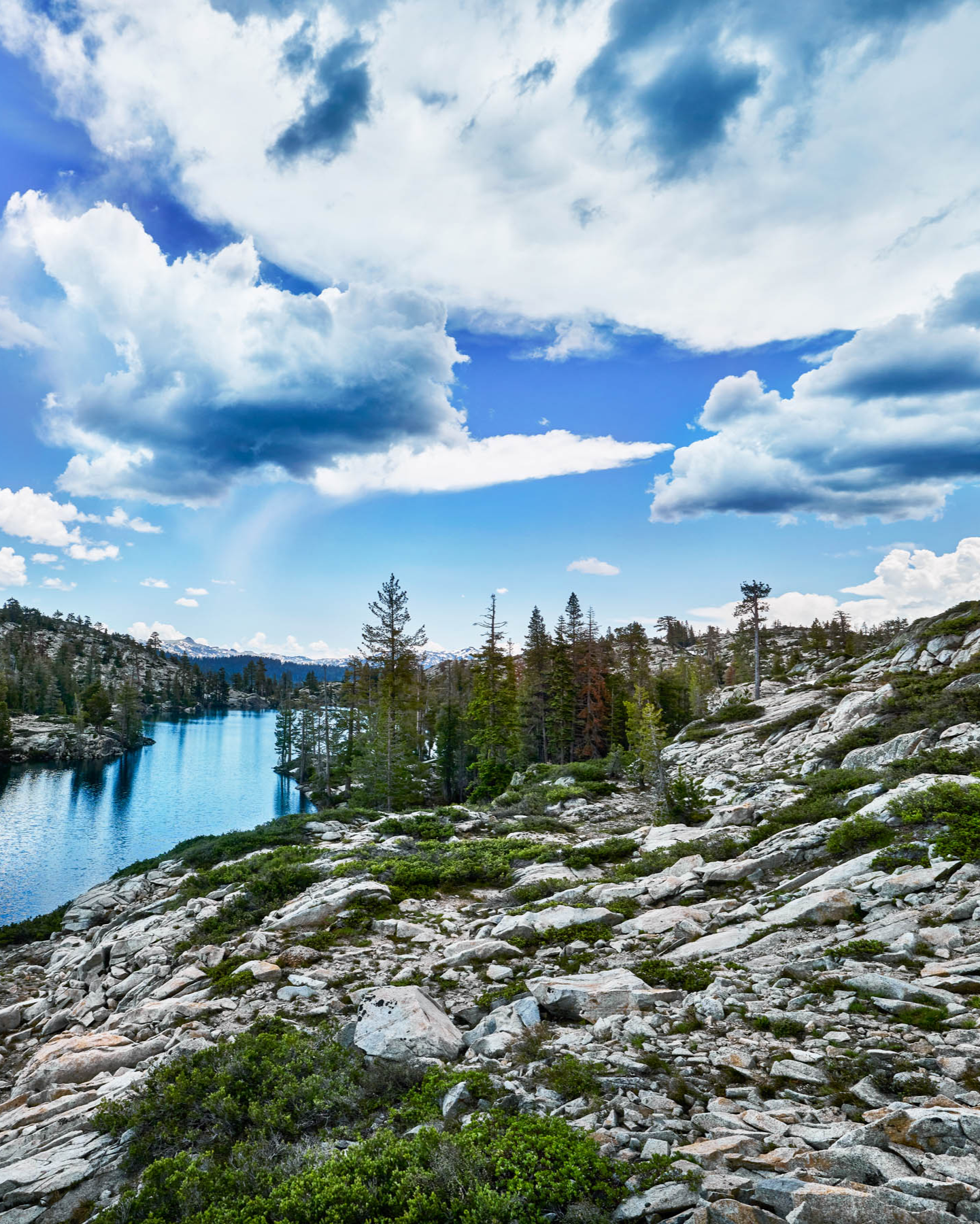 TahoeArtesianWater
