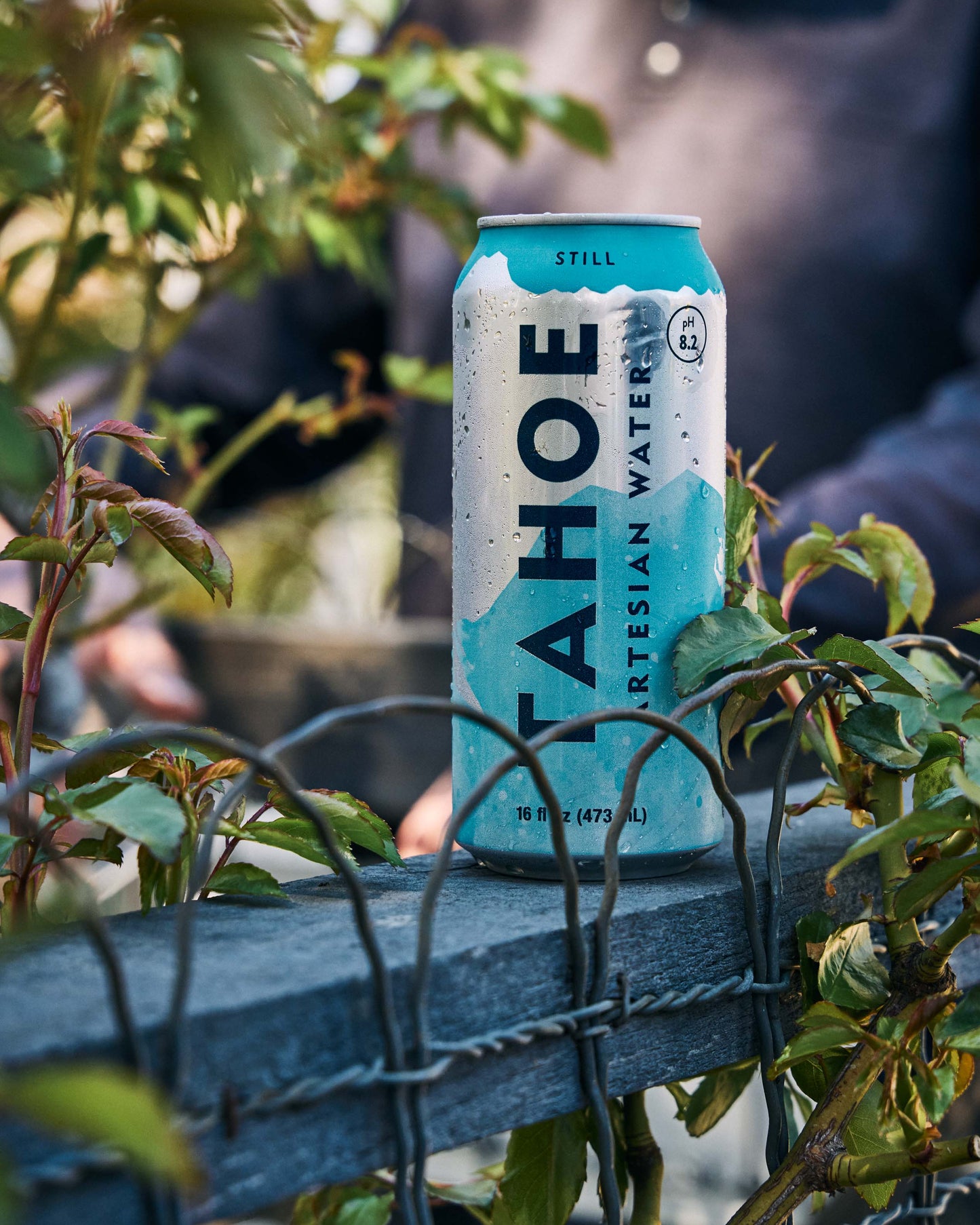 TahoeArtesianWater