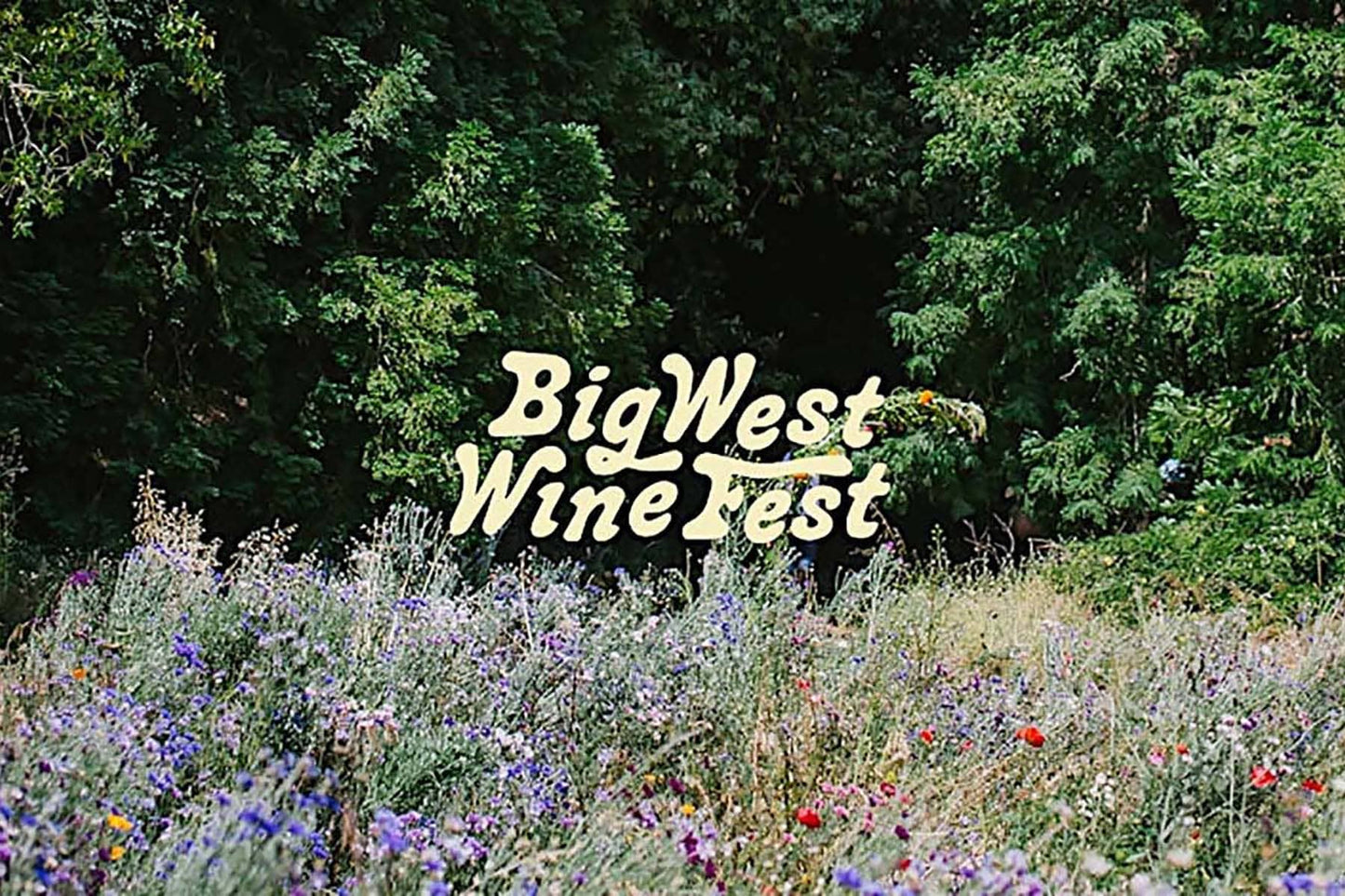 We Loved Big West Wine Fest!