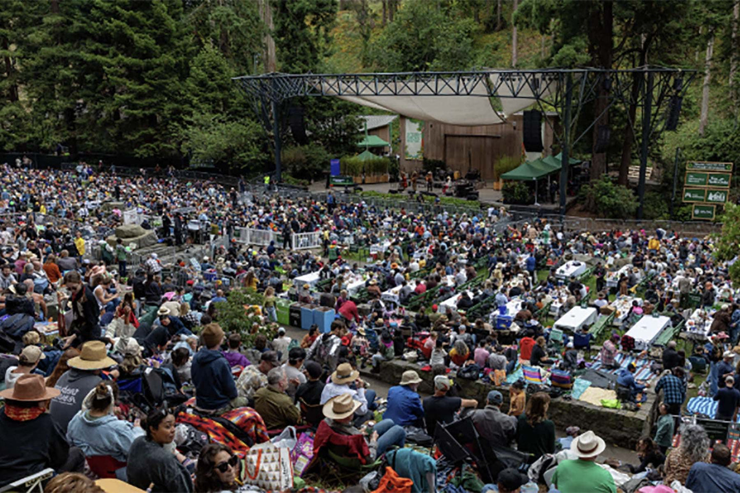 We’re Putting Our Dancing Shoes On & Heading to Stern Grove!