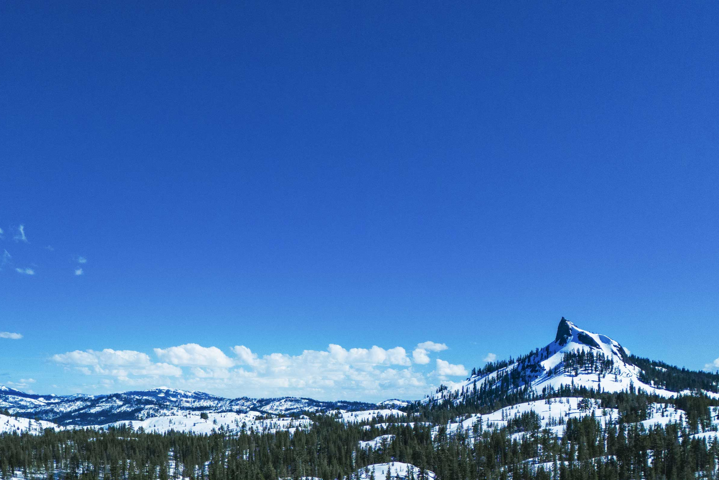 TahoeArtesianWater