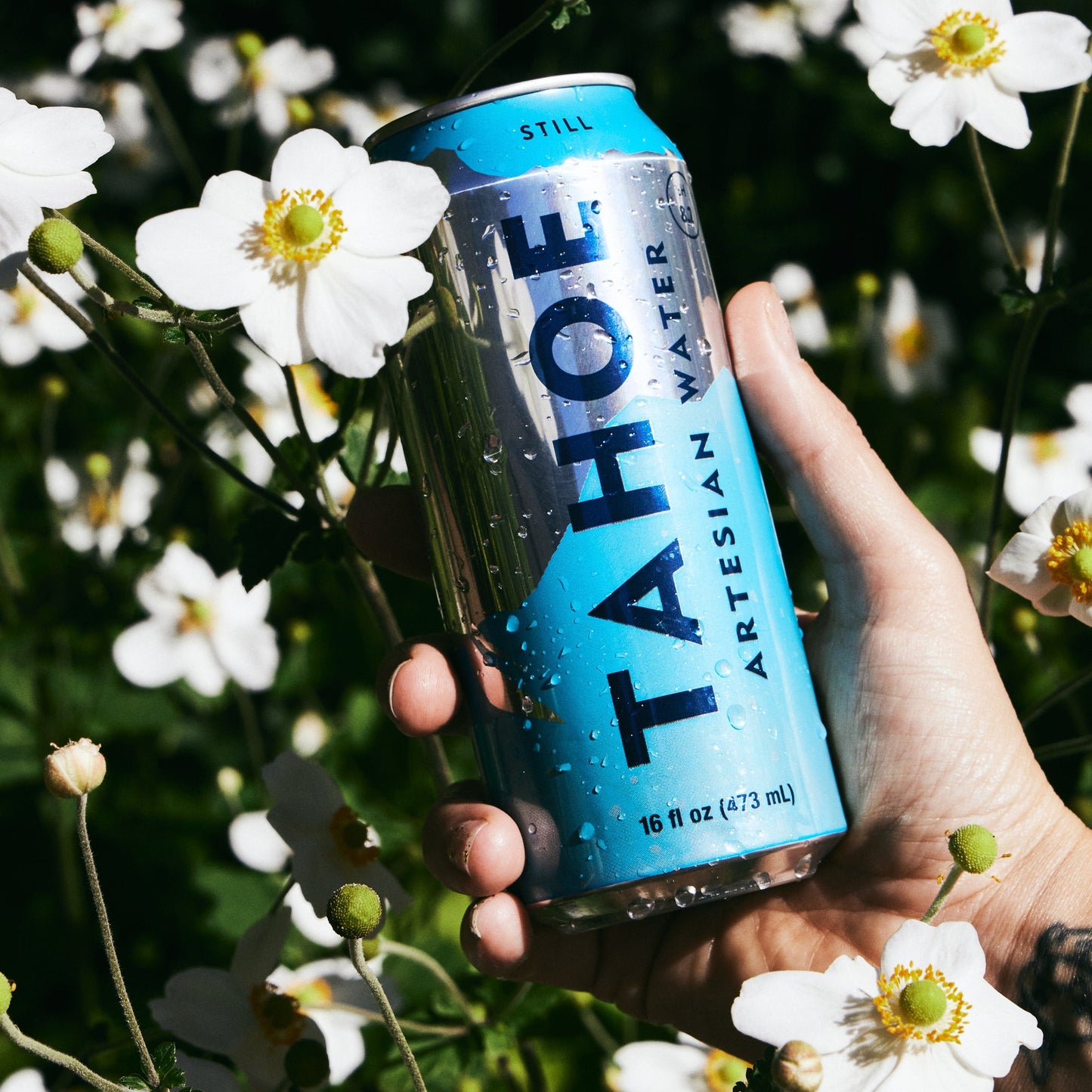 Hand holding a Tahoe Artisan Water can among white flowers