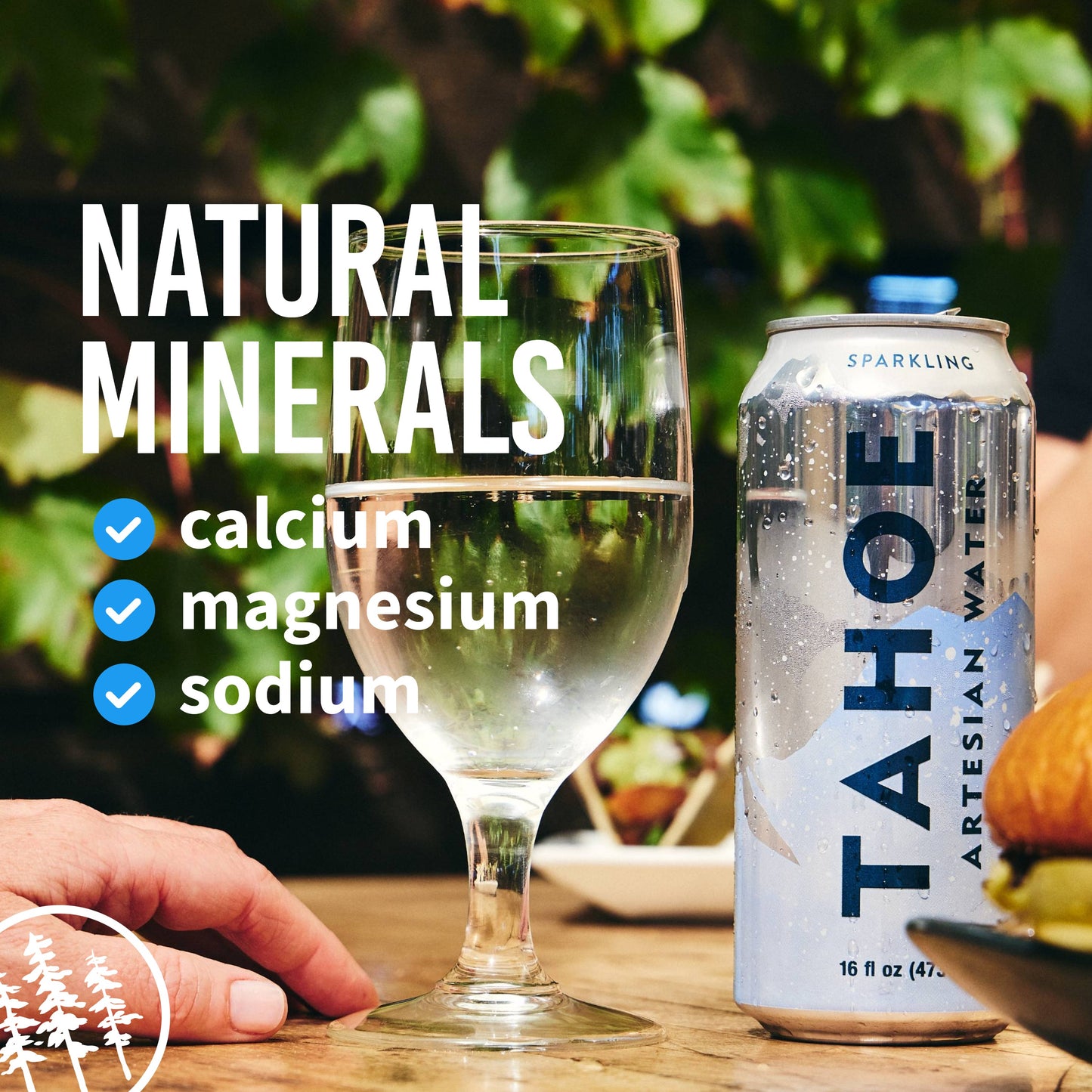 
                  
                    Tahoe Artesian Water, Sparkling, 16 oz Aluminum Can, 24 Pack
                  
                