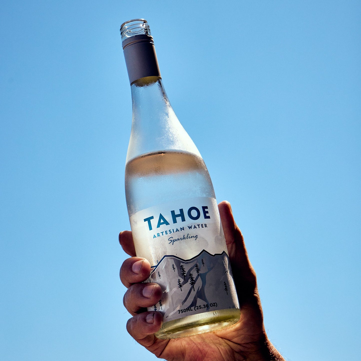 
                  
                    Hand holding a Tahoe Artesian Water bottle against a clear blue sky
                  
                