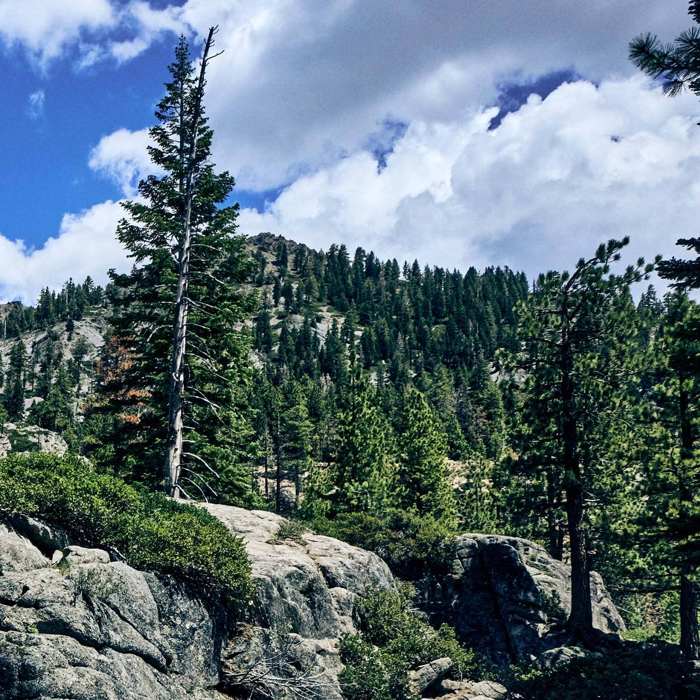 TahoeArtesianWater