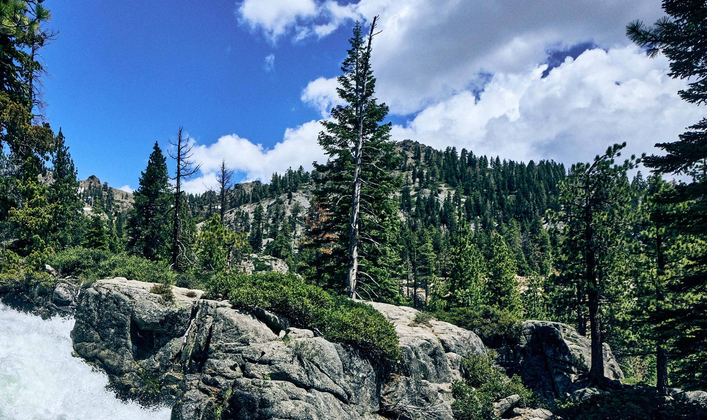 TahoeArtesianWater