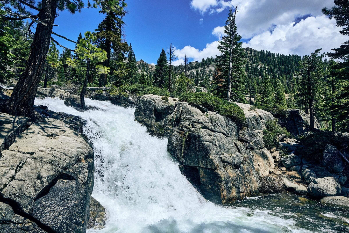 TahoeArtesianWater